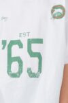 2517.jpg